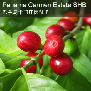 巴拿马卡门庄园精品咖啡豆227克 panama carmen shb可磨黑咖啡粉