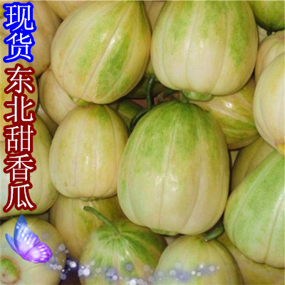 京蜜香瓜东北特产新鲜水果甜香瓜部分地区5斤包邮