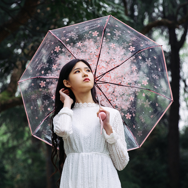 透明雨伞折叠女小清新手开三折伞创意日系唯美学生樱花雨伞