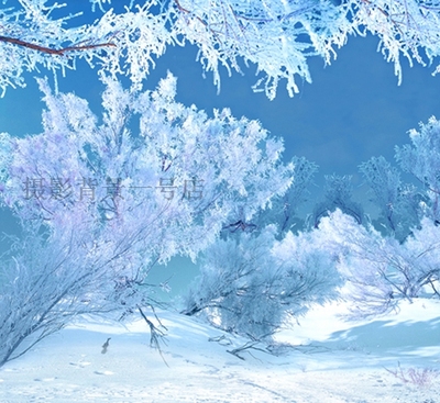 雪景背景墙纸 冬季雪景拍照写真背景 梦幻雪景婚纱拍照cm-6497