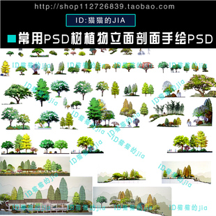 精选常用PSD树植物立面剖面手绘PSD素材园林景观建筑立面彩图素材