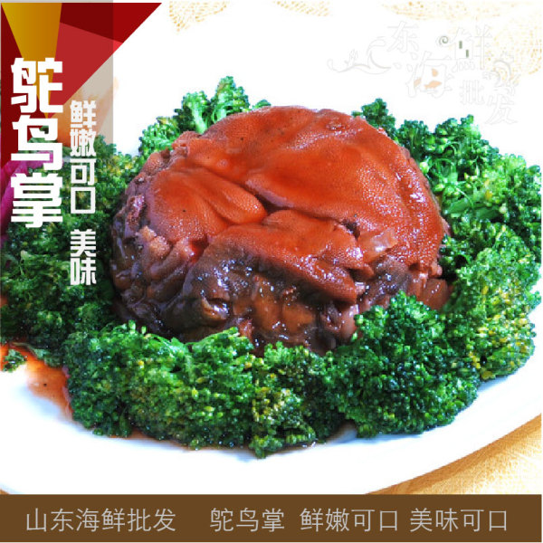 169 鸵鸟掌批发 鸵鸟掌 酒店 鸵鸟 送礼 一只约4斤 268元/只