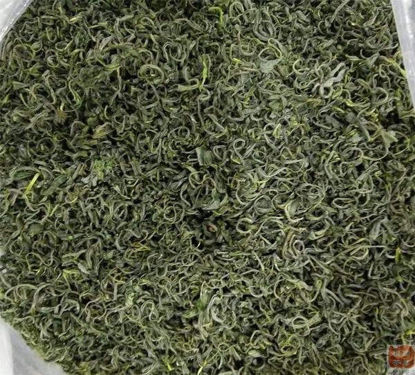 抢鲜紫阳毛尖陕南茶叶富硒陕西茶叶陕青青茶炒青明前春茶250g