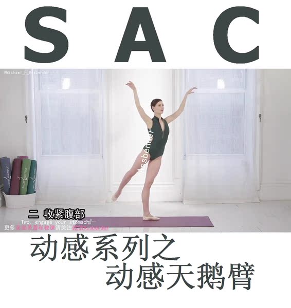 ballet beautiful 美丽芭蕾 mhb私教课 动感天鹅臂 sac