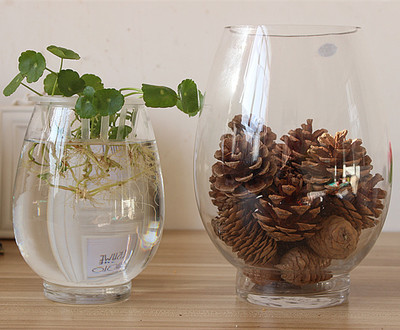 包邮透明玻璃花瓶 绿萝水培花瓶 简约花瓶 圆形水培鱼缸 金鱼缸
