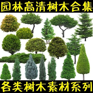 园林景观设计PSD树木植物近景高清绿化效果图后期PS分层素材专用