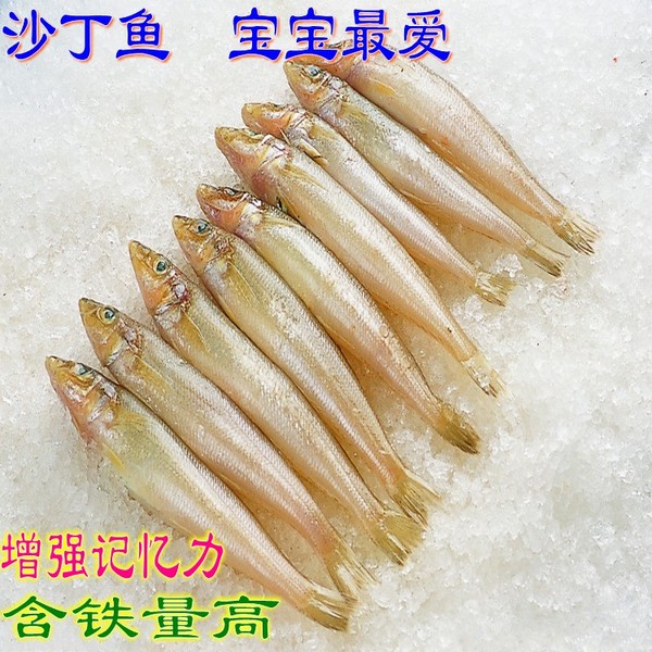 新鲜海鱼沙丁鱼生鲜海鱼鲜活鱼类宝宝辅食增强记忆力对眼睛好特价