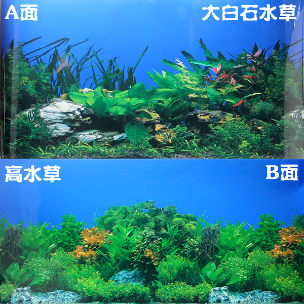 鱼缸背景纸 背景画高清 水族箱背景纸大白石水草 高水草高48cm