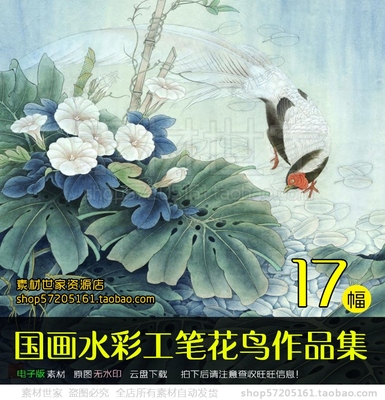 唯美国画水彩工笔花鸟山水绘画装饰画临摹喷绘大图素材17幅 5.09g