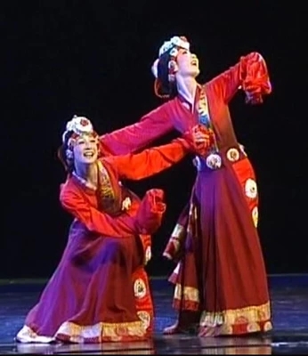 藏族舞蹈服裝心聲表演服藏服學生演出服民族服裝女舞臺服女裙現貨