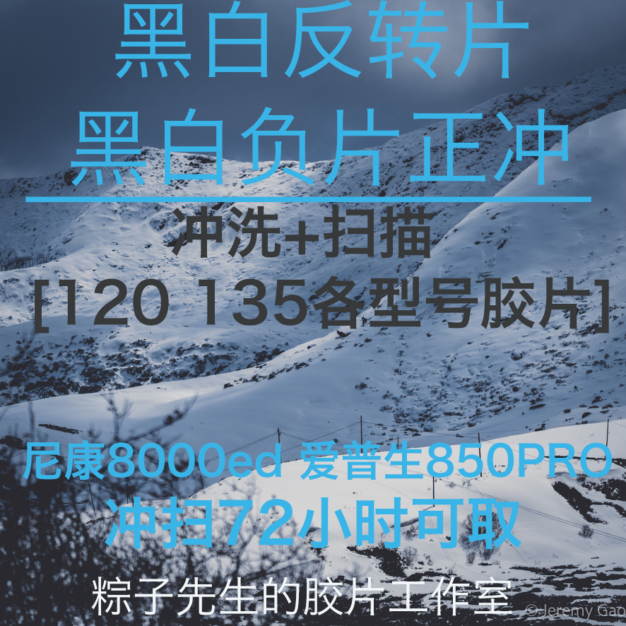 黑白正片冲扫 黑白负片正冲 黑白反转片冲洗粽子先生的胶片社 淘宝网