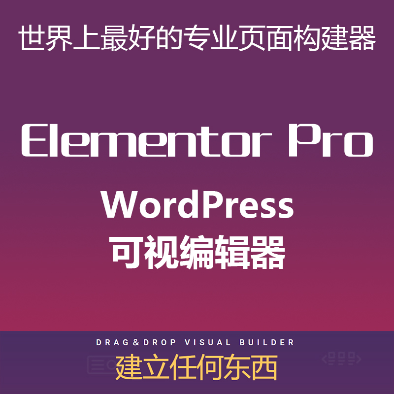 Elementor Pro WordPress插件中文专业版带key可视编辑模块化组件