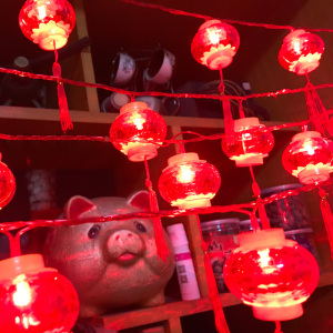 LED中国结家用过年小彩灯闪灯串灯满天星春节红灯笼挂件新年装饰
