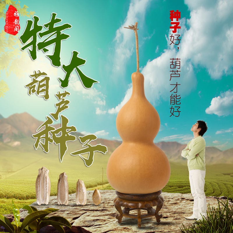 big giant natural big gourd seed garden balcony planting small collectables - autograph hand twist small gourd seeds seed