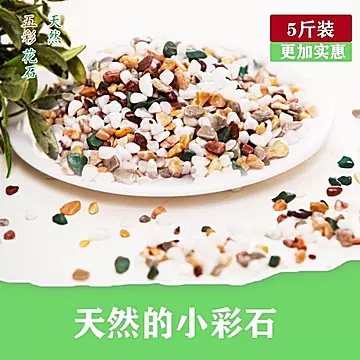 天然五彩花石白石子多肉铺面鱼缸造景[20元优惠券]-寻折猪