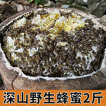 蜂蜜2斤结晶土蜂蜜天然野生正宗[40元优惠券]-寻折猪