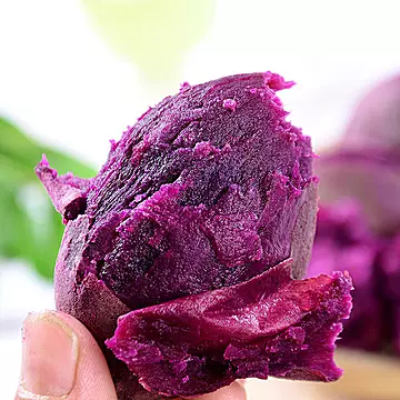 紫薯新鲜价红薯新鲜蜜薯地瓜番薯板栗蔬菜[40元优惠券]-寻折猪