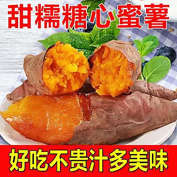 新鲜红薯沙地黄皮黄心薯地瓜软糯香甜蜜薯[40元优惠券]-寻折猪