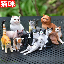 Модель кошки, модель кошки, маленькая кошка, пластиковая игрушка для детей 3 года 6 лет 12 лет