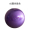 65厘米直径紫色