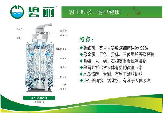 碧丽净水器 直饮水机厨柜式净水器厨房饮用水专家水星2号 包邮