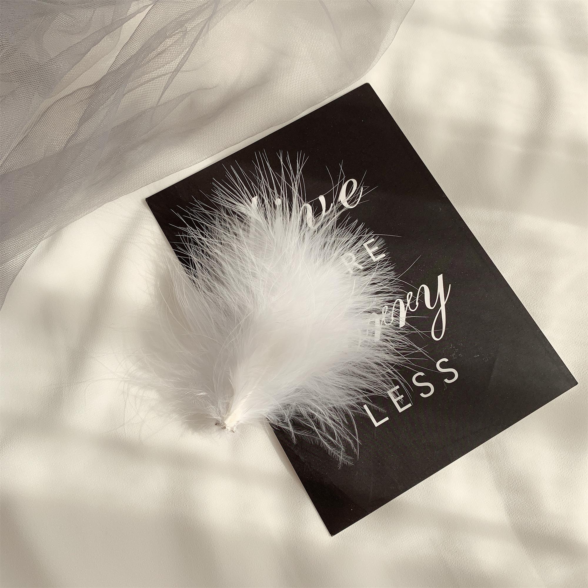 Super Fairy Feather Hairpin Korean White Headdress Net Red With Side Clips Hairpin Sen Fairy Hanfu Accessories