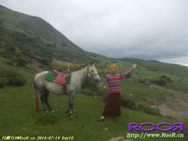 Gants pour vélo - Ref 2247996 Image 259