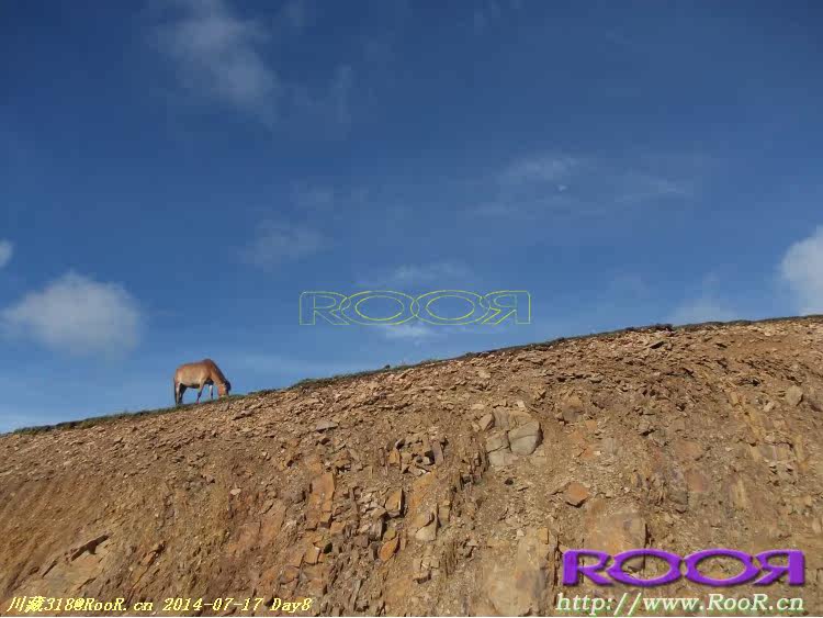 Gants pour vélo - Ref 2247996 Image 113