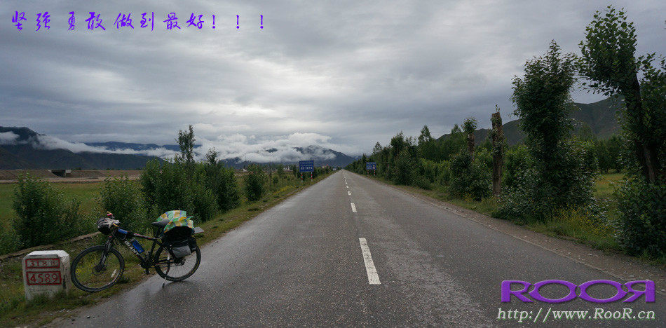 Gants pour vélo - Ref 2247996 Image 55