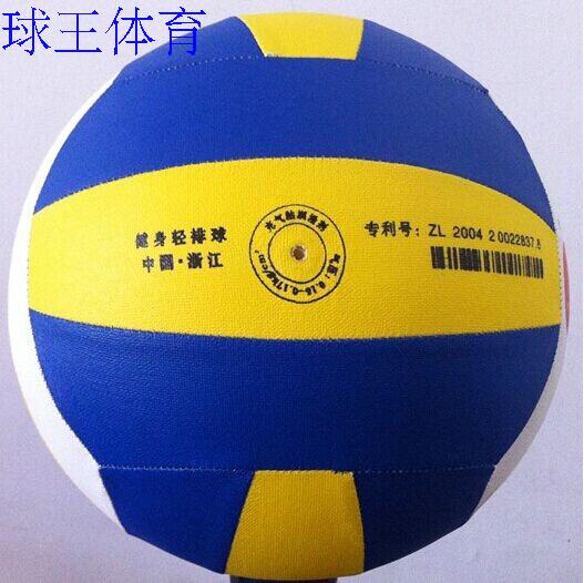 Ballon de volley-ball - Ref 2016587 Image 4