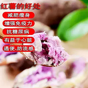 新鲜冰淇淋番薯一点红紫心番薯爆皮板栗香甜[40元优惠券]-寻折猪