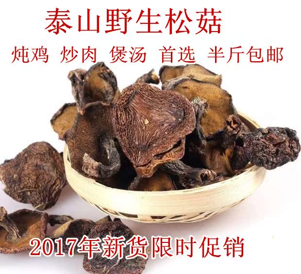 ̩ɽ�ɶ� ����ɽҰ�������ز��ɻ�Ģ���ɹ��㹽��Ģ������