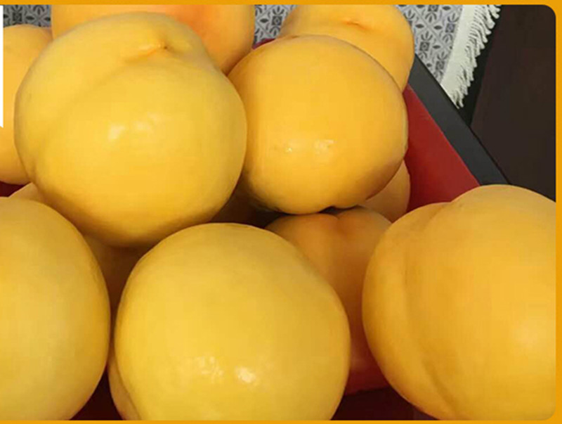 2017沂蒙特产新鲜黄金油桃脆甜多汁孕妇水果自家果园直发3斤包邮