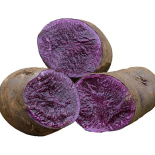 甘肃中国大陆黑美人紫土豆紫色马铃薯黑洋芋富含花青素5斤包邮