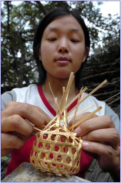 六角塔形蝈蝈笼 圆笼 双层蝈蝈笼 手编蝈蝈笼 批发零售厂家直销