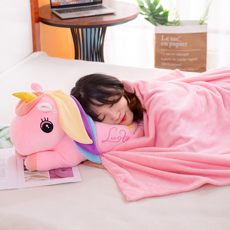 Pillow Air Conditioner Quilt Doll Dual-Use Office Nap Autumn Pillow Car Bed Pillow Cushion Two-in-One