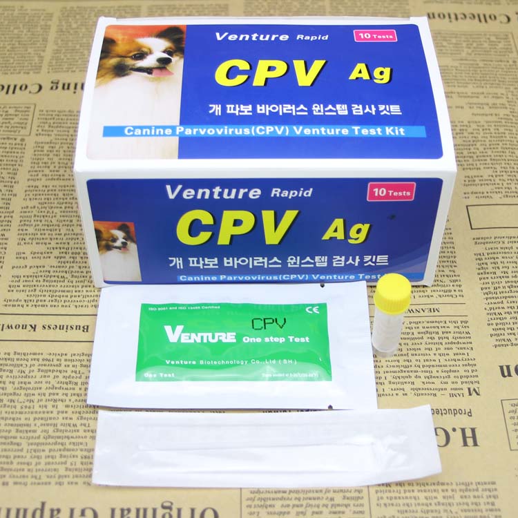 美国venture细小病毒抗快速测试纸 cpv宠物犬瘟测试 单张 价格