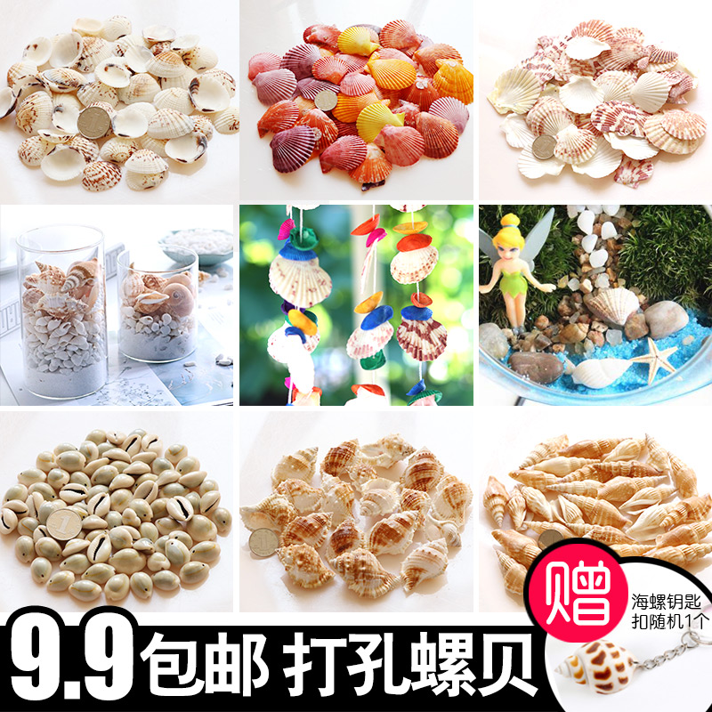 conch combo natural shell conch color diy material creative hand wind bell accessories with beads