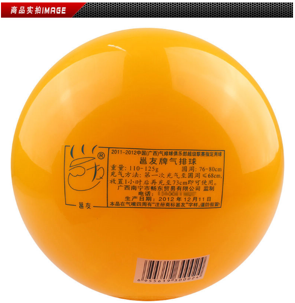Ballon de volley-ball - Ref 2009566 Image 3
