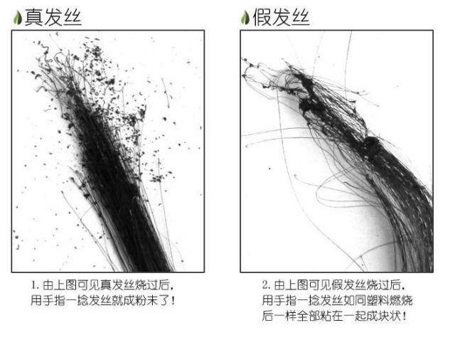 Extension cheveux - Ref 217538 Image 16
