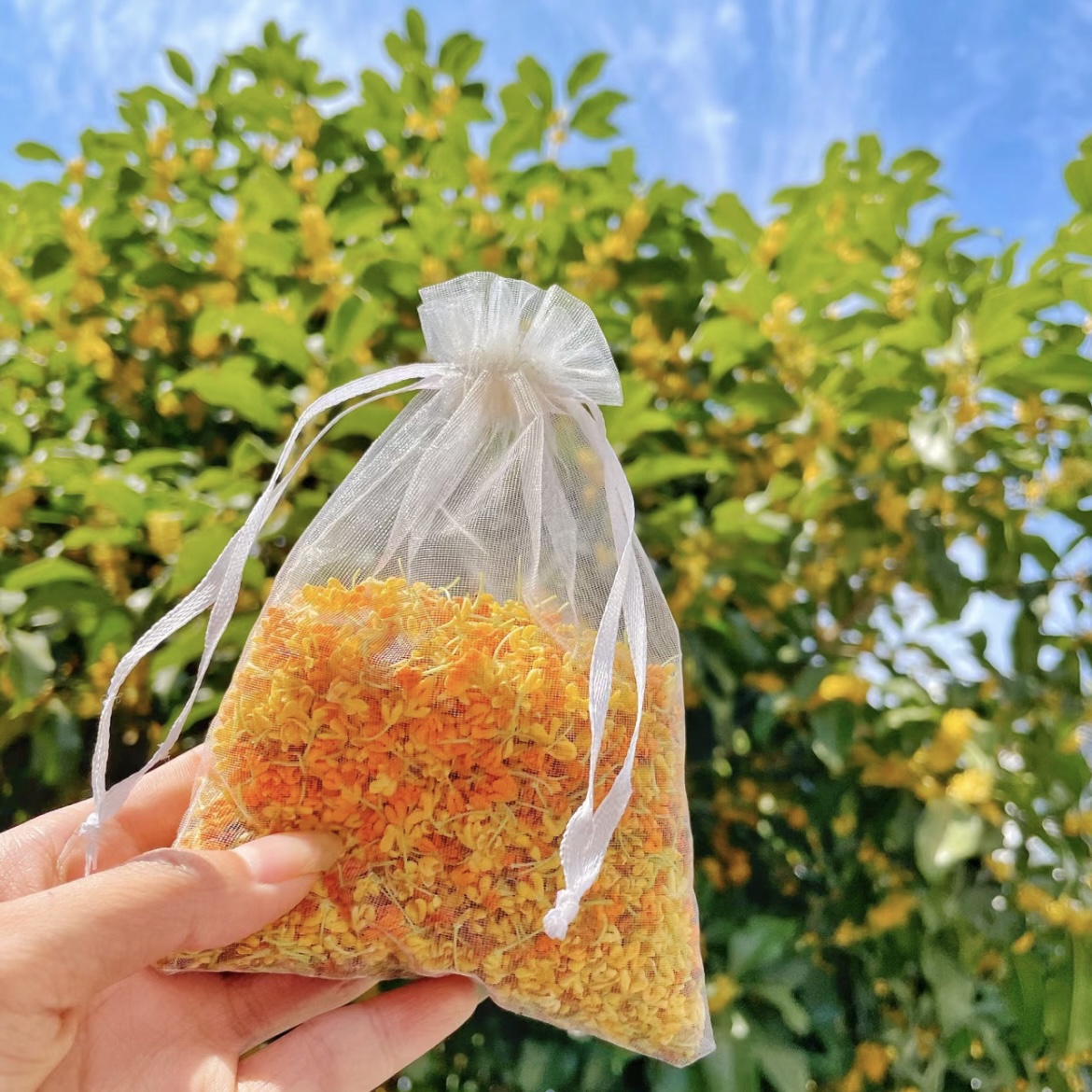 Osmanthus Sachet Sachet Transparent Drawstring Bag Mesh Bag Drawstring Candy Bag Buggy Bag DIY Sachet in Stock