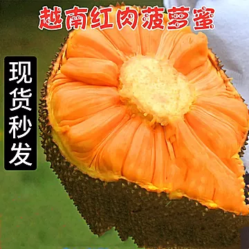 越南进口红肉菠萝蜜新鲜水果当季热带水果[30元优惠券]-寻折猪