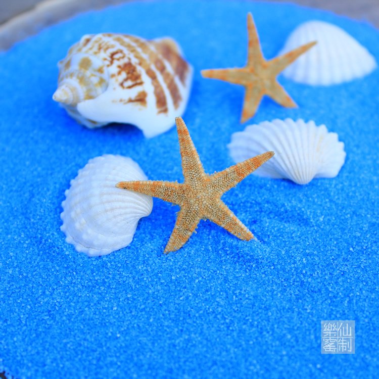 天然细蓝沙 微景观细沙 水族造景 海螺 贝壳 多肉植物园艺装饰