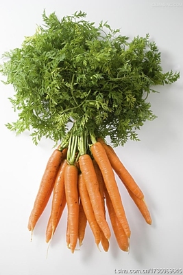 手指小胡萝卜 红卜仔 摆盘小萝卜 (baby carrt with leaves) 500g