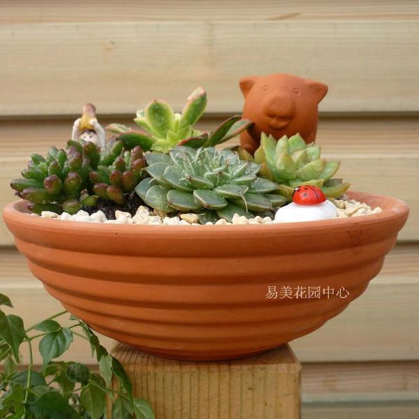 1009 江浙沪红陶盆满百包邮 多肉植物陶土盆 细质红陶花盆 碗型陶