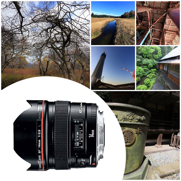 佳能摄影镜头样片 ef 14mm f2.8l usm 摄影样片 原尺寸1:1样片