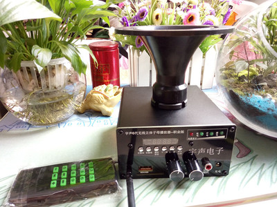 正品包邮宇声6代大功率 超远无线遥控电媒 可外接电源 子母双机