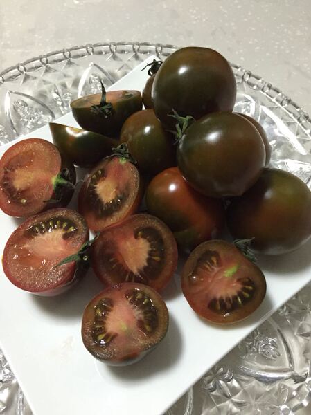 新鲜农家自种绿色蔬菜 碱地黑珍珠西红柿 水果番茄灯笼柿子包邮