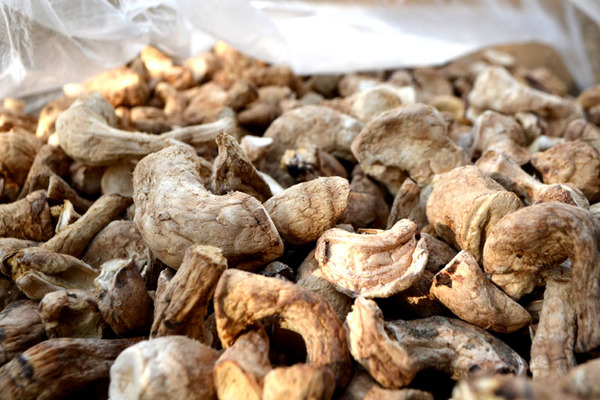 【白菜价】云南土特产 香菇柄/香菇脚250克 菌香十足 4份包邮