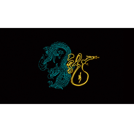 定制水族箱造景 背景画 鱼缸壁纸壁画贴纸 红龙金龙龙鱼 反光龙b